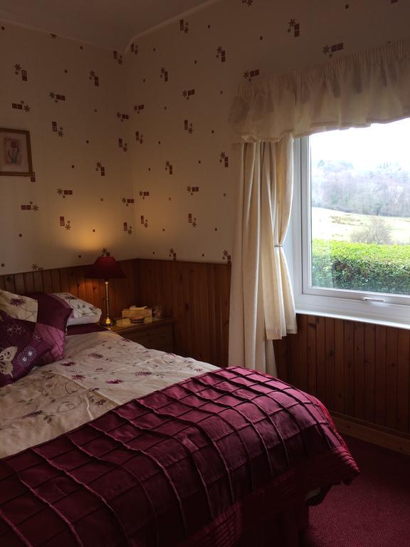 Rhiwiau Guesthouse Ланвайрвехан Екстериор снимка