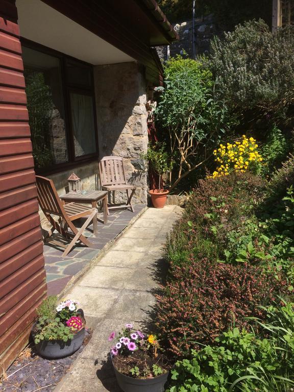 Rhiwiau Guesthouse Ланвайрвехан Екстериор снимка